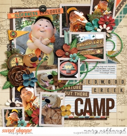 WildernessExplorer_SSD_mrsashbaugh.jpg