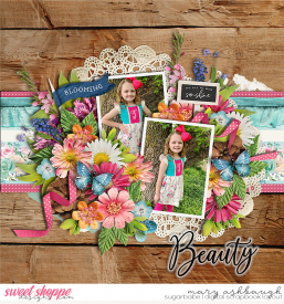 Wildflowers_SSD_mrsashbaugh.jpg