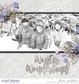 Winter-WonderlandWM1.jpg