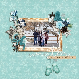 Winter-days-copy.jpg
