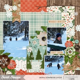 WinterWoods_ffFB167WebWM.jpg