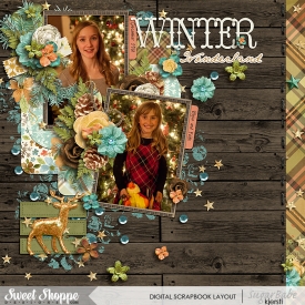 Winter_Wonderland700wm.jpg