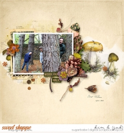 Woodland-walks_b.jpg