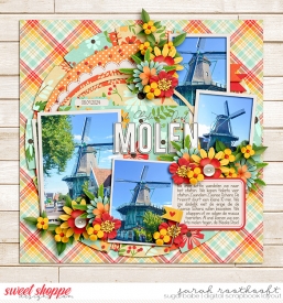 Zaandam005web.jpg