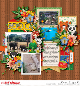 Zoo-cam_b.jpg