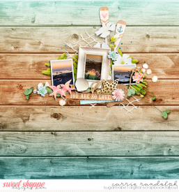 abeachweddingdayWebWM.jpg