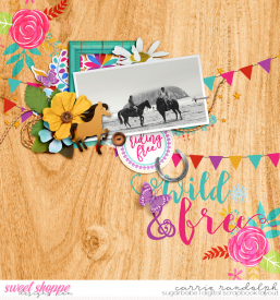 ad-wildhorsesWebWM.jpg
