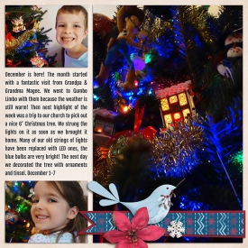 advent2012-Hope-2pgLWEB.jpg