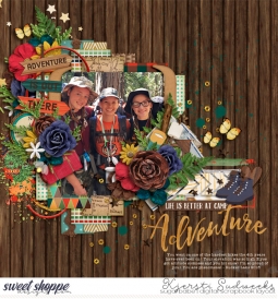 adventure650wm.jpg