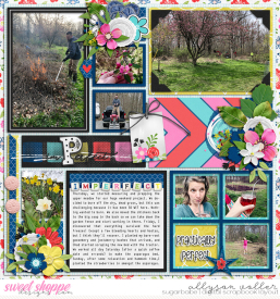 allyane_Perfect_02_WM.jpg