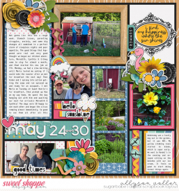 allyanne-ABrightSummerDay_01_WM.jpg