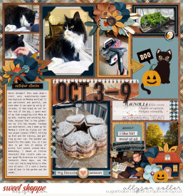 allyanne-AMIROctober_01_WM.jpg