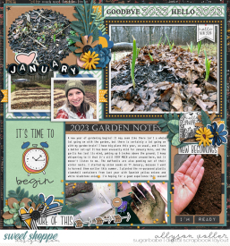 allyanne_01JanReveiw_01_HelloJanuary_01_WM.jpg