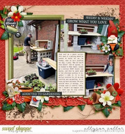 allyanne_1234Templates_01_WM.jpg