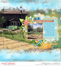 allyanne_2SidesBlended1_01_GoodDaySunShine_RIGHT_WM.jpg