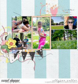 allyanne_2manyphotos269_BrightSunshinyDay_left_WM.jpg
