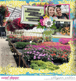 allyanne_2sidesblended3_Right_WM.jpg