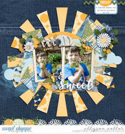 allyanne_4storyTriangles_01_Wildflower_01_WM.jpg