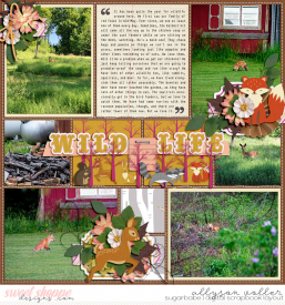 allyanne_50StatesCT_01_8DaysaWeek_02_WM.jpg