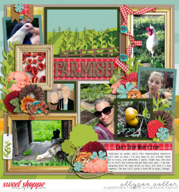 allyanne_50StatesIowa_01_WM.jpg