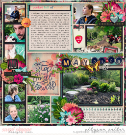 allyanne_ABeautifulDay_01_WM.jpg