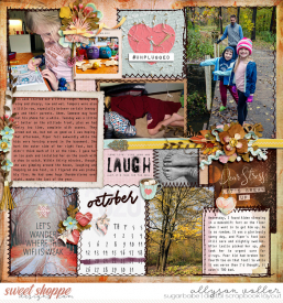 allyanne_ABeautifulLifeUnplugged_01_WM.jpg