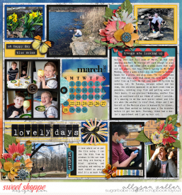 allyanne_ABrighterDay_01_WM.jpg