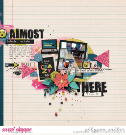 allyanne_ABusyDay_01_WM.jpg
