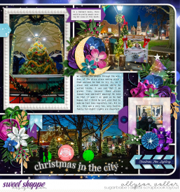 allyanne_ACTMakingSpiritsBright_02_WM.jpg