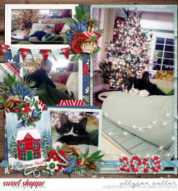 allyanne_AFOCMerryMoments_01_left_WM.jpg