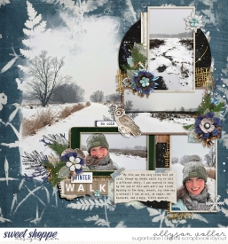 allyanne_AINWinterWoods_01_WM.jpg