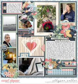 allyanne_AMIRDecember_01_WM.jpg