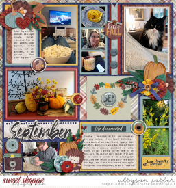 allyanne_AMIRSeptember_01_WM.jpg