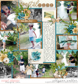 allyanne_AOTAttheShore_01_Palooza69_01_WM.jpg
