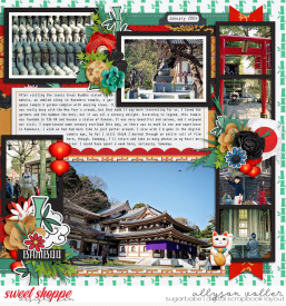 allyanne_ATWJapan_01_right_WM.jpg