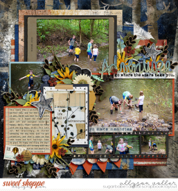 allyanne_AdventureUndertheStars_01_WM.jpg