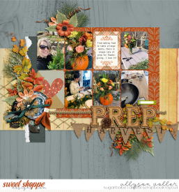 allyanne_AllThosePages2Singles_03_HarvestTable_01_WM.jpg