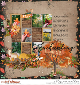 allyanne_AllThosePages3Singles_01_EnchantedWoods_01_WM.jpg