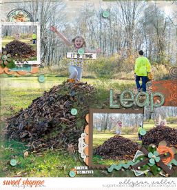 allyanne_ArtisanTemp_01_SeasonsofChange_01_WM.jpg