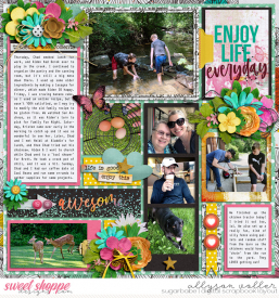 allyanne_AwesomeHappyLife_02_WM.jpg