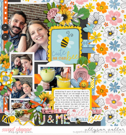 allyanne_BeetheSunshine_01_WM.jpg