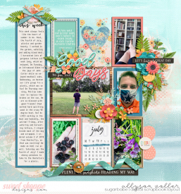 allyanne_BetterDaysToday_01_WM.jpg
