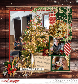 allyanne_BigPicChristmas_01_WM.jpg