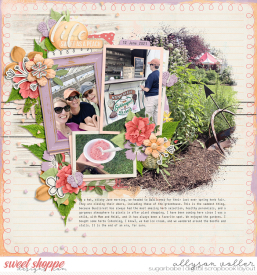allyanne_Blended6Pai16_02_SuchaPeach_01_WM.jpg