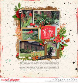 allyanne_Blended6Pak16_01_WM.jpg