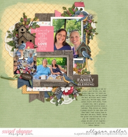 allyanne_BlessThisNest_01_WM.jpg