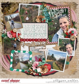allyanne_CCMerryMoments_01_WM.jpg