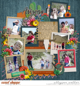 allyanne_Cacti_RedRocks_01_WM.jpg