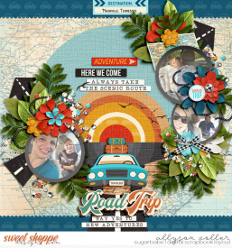 allyanne_CaliDreaming_01_RoadTrip_01_WM.jpg