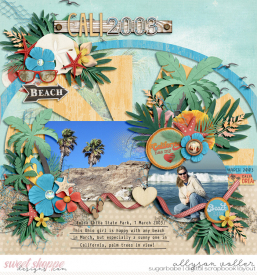 allyanne_CaliforniaDreaming_01_WM.jpg